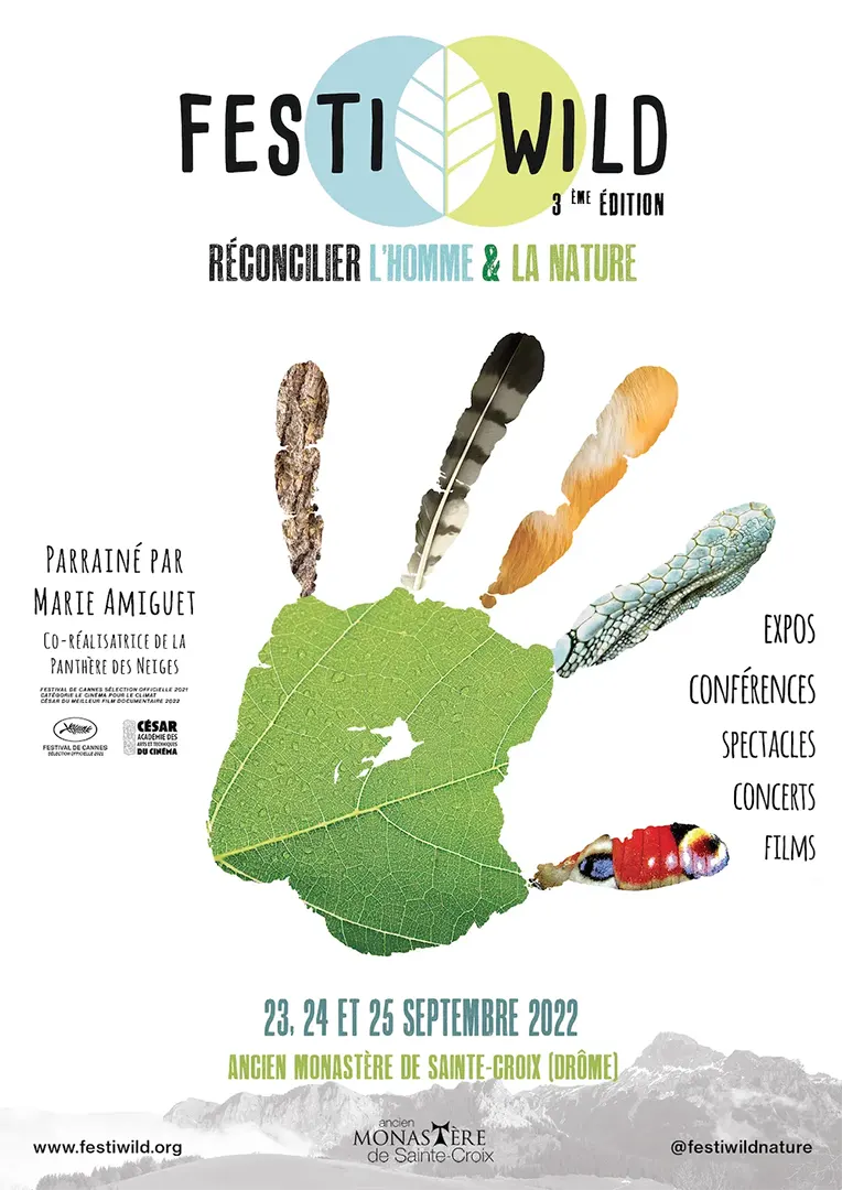 FESTIWILD #3