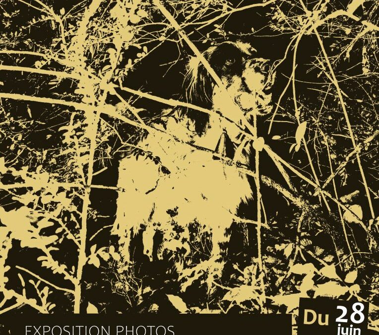 Exposition photos Benjamin Bechet