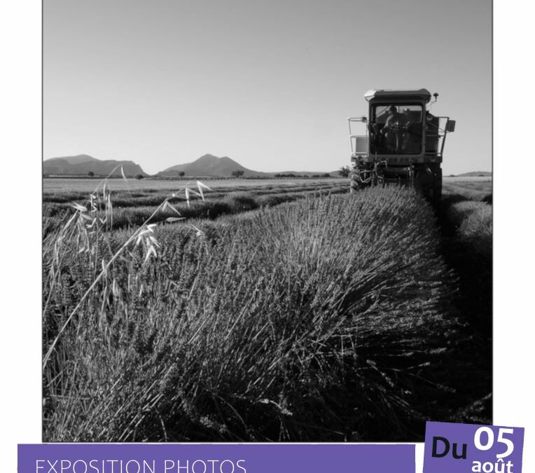 [Exposition photos] Secret de lavande – Philippe Lemonnier