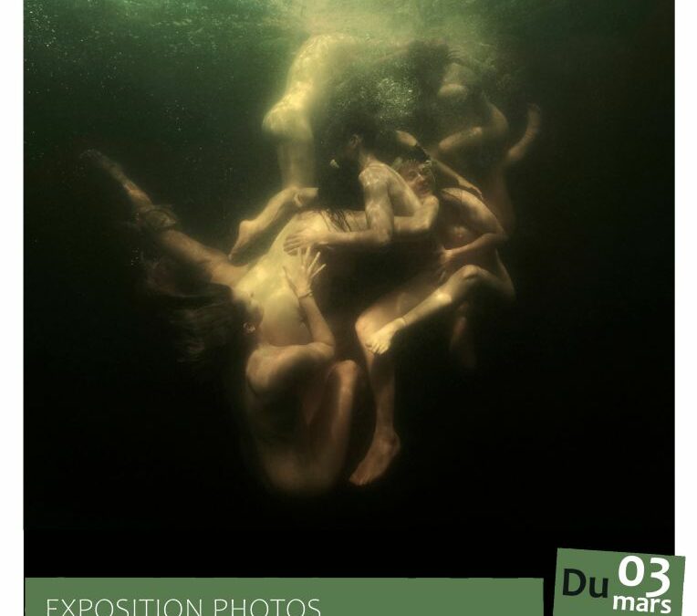 [Exposition] Camille Ropert – Limnées –