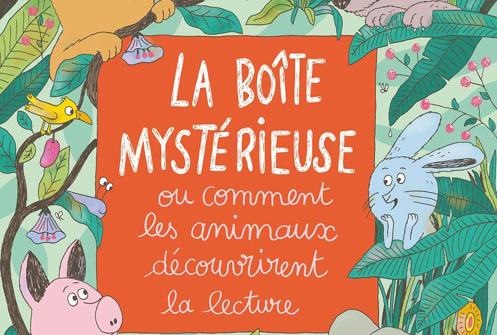 La boîte mystérieuse